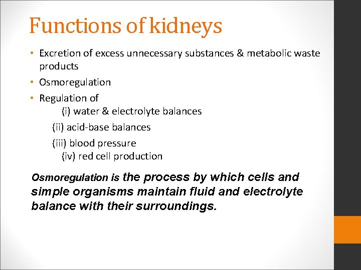 Functions of kidneys • Excretion of excess unnecessary substances & metabolic waste products •