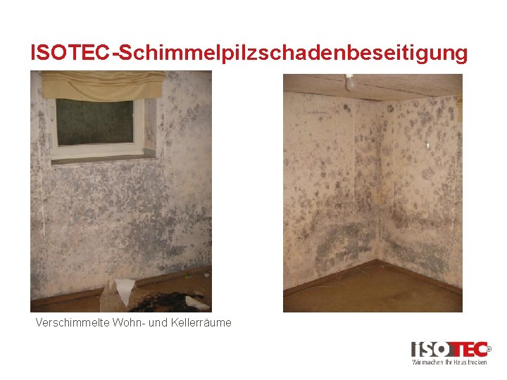 ISOTEC-Schimmelpilzschadenbeseitigung Verschimmelte Wohn- und Kellerräume 