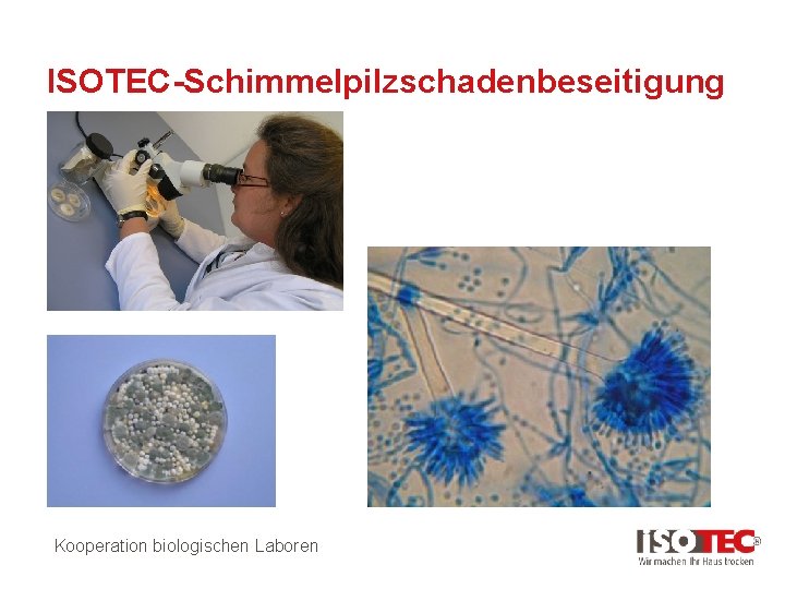 ISOTEC-Schimmelpilzschadenbeseitigung Kooperation biologischen Laboren 