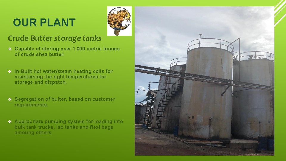 OUR PLANT Crude Butter storage tanks v Capable of storing over 1, 000 metric