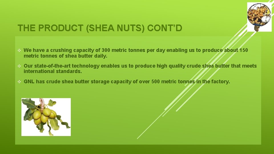 THE PRODUCT (SHEA NUTS) CONT’D v We have a crushing capacity of 300 metric