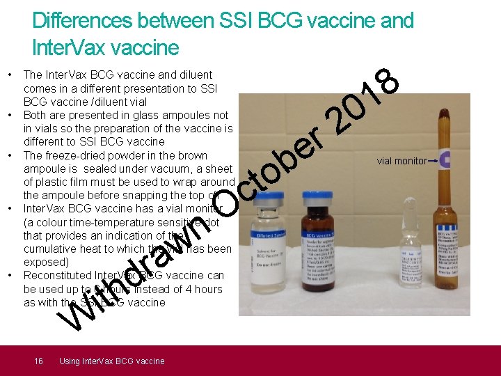 Differences between SSI BCG vaccine and Inter. Vax vaccine • • • The Inter.