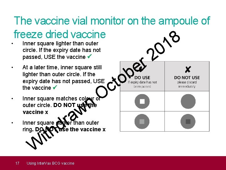  • The vaccine vial monitor on the ampoule of freeze dried vaccine Inner