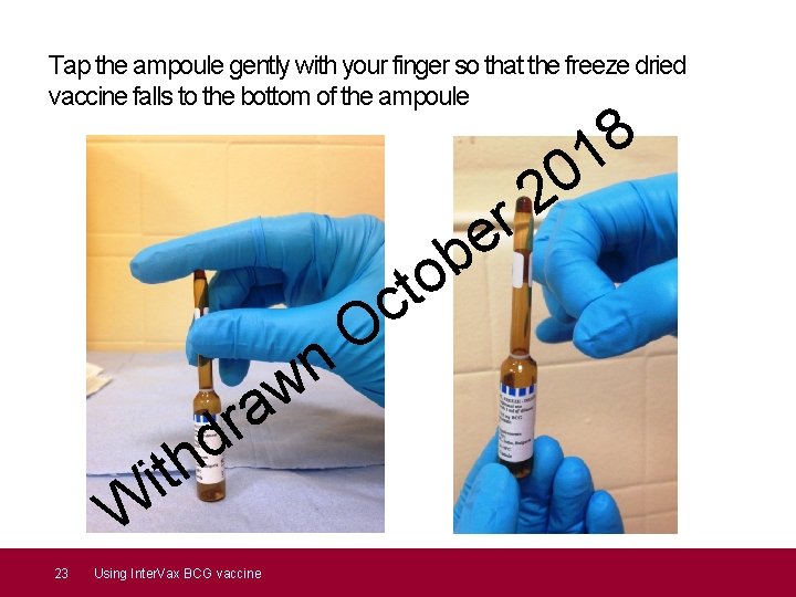 Tap the ampoule gently with your finger so that the freeze dried vaccine falls