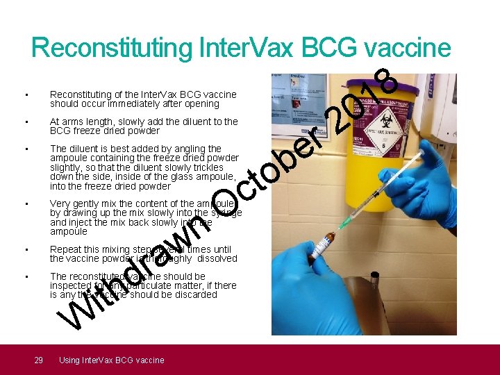 Reconstituting Inter. Vax BCG vaccine • Reconstituting of the Inter. Vax BCG vaccine should