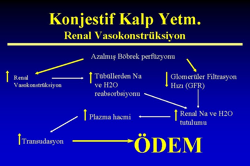 Konjestif Kalp Yetm. Renal Vasokonstrüksiyon Azalmış Böbrek perfüzyonu Renal Vasokonstrüksiyon Tübüllerden Na ve H