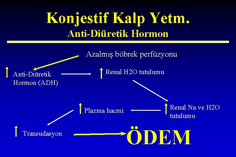 Konjestif Kalp Yetm. Anti-Diüretik Hormon Azalmış böbrek perfüzyonu Anti-Diüretik Hormon (ADH) Renal H 2
