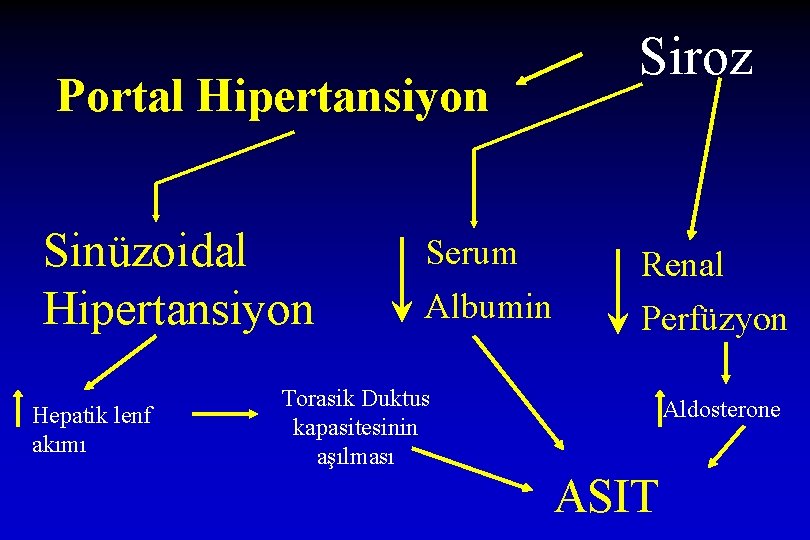 Portal Hipertansiyon Sinüzoidal Hipertansiyon Hepatik lenf akımı Siroz Serum Renal Albumin Perfüzyon Torasik Duktus