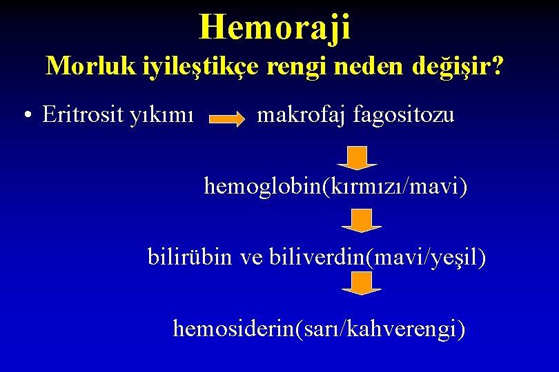 Hemoraji Morluk iyileştikçe rengi neden değişir? • Eritrosit yıkımı makrofaj fagositozu hemoglobin(kırmızı/mavi) bilirübin ve