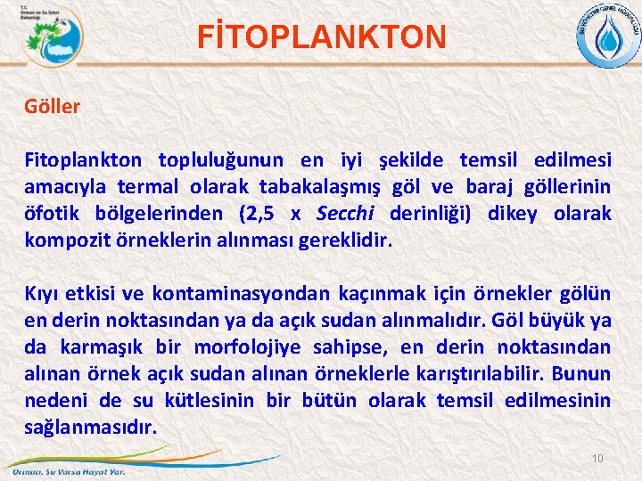 FİTOPLANKTON Göller Fitoplankton topluluğunun en iyi şekilde temsil edilmesi amacıyla termal olarak tabakalaşmış göl