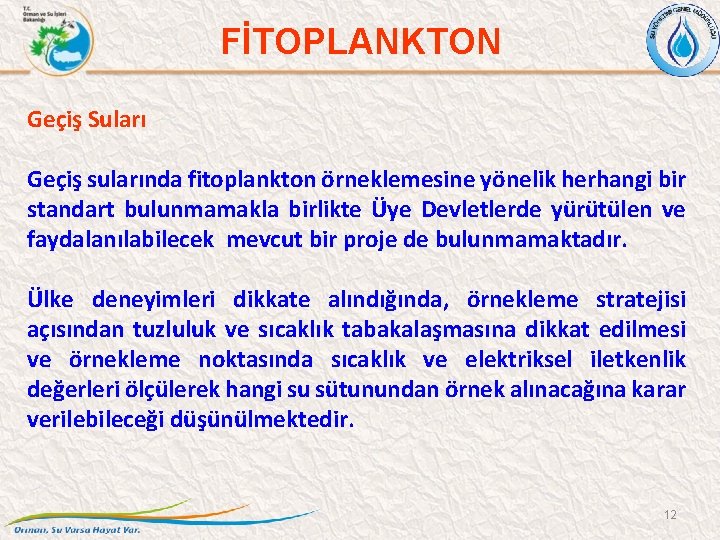 FİTOPLANKTON Geçiş Suları Geçiş sularında fitoplankton örneklemesine yönelik herhangi bir standart bulunmamakla birlikte Üye