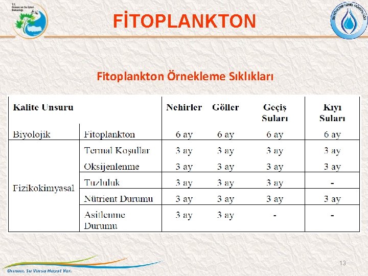 FİTOPLANKTON Fitoplankton Örnekleme Sıklıkları 13 