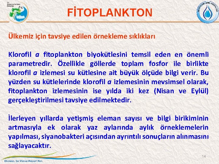 FİTOPLANKTON Ülkemiz için tavsiye edilen örnekleme sıklıkları Klorofil a fitoplankton biyokütlesini temsil eden en