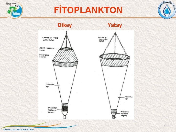 FİTOPLANKTON Dikey Yatay 16 