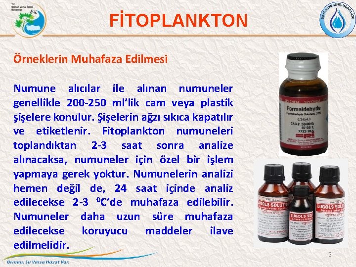FİTOPLANKTON Örneklerin Muhafaza Edilmesi Numune alıcılar ile alınan numuneler genellikle 200 -250 ml’lik cam