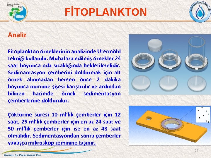 FİTOPLANKTON Analiz Fitoplankton örneklerinin analizinde Utermöhl tekniği kullanılır. Muhafaza edilmiş örnekler 24 saat boyunca