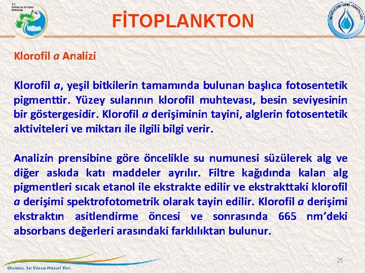 FİTOPLANKTON Klorofil a Analizi Klorofil a, yeşil bitkilerin tamamında bulunan başlıca fotosentetik pigmenttir. Yüzey