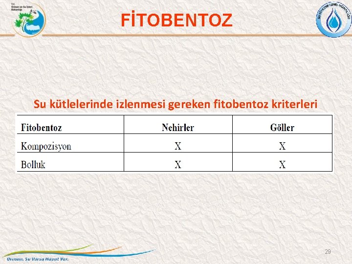 FİTOBENTOZ Su kütlelerinde izlenmesi gereken fitobentoz kriterleri 29 