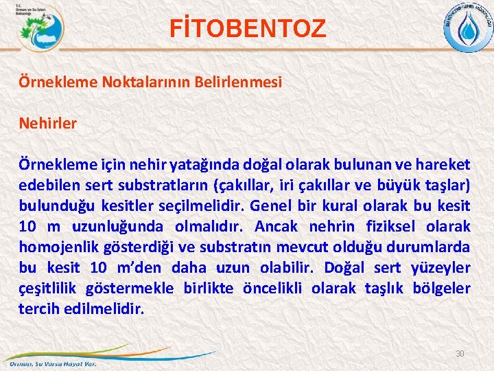 FİTOBENTOZ Örnekleme Noktalarının Belirlenmesi Nehirler Örnekleme için nehir yatağında doğal olarak bulunan ve hareket