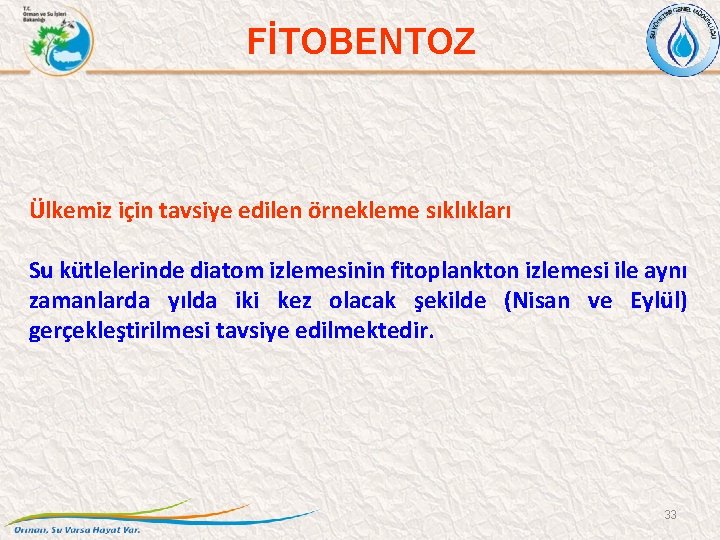 FİTOBENTOZ Ülkemiz için tavsiye edilen örnekleme sıklıkları Su kütlelerinde diatom izlemesinin fitoplankton izlemesi ile