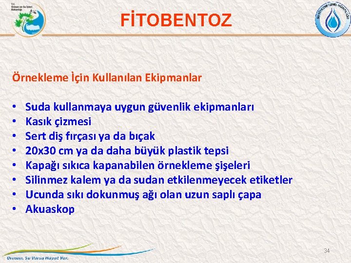 FİTOBENTOZ Örnekleme İçin Kullanılan Ekipmanlar • • Suda kullanmaya uygun güvenlik ekipmanları Kasık çizmesi