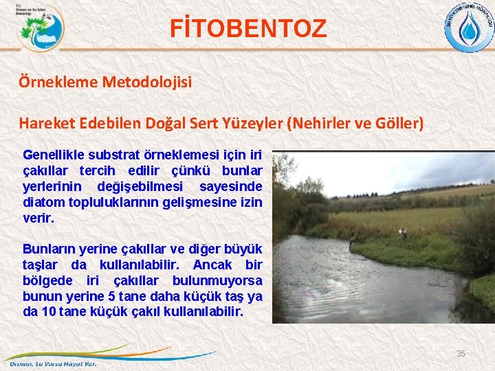 FİTOBENTOZ Örnekleme Metodolojisi Hareket Edebilen Doğal Sert Yüzeyler (Nehirler ve Göller) Genellikle substrat örneklemesi