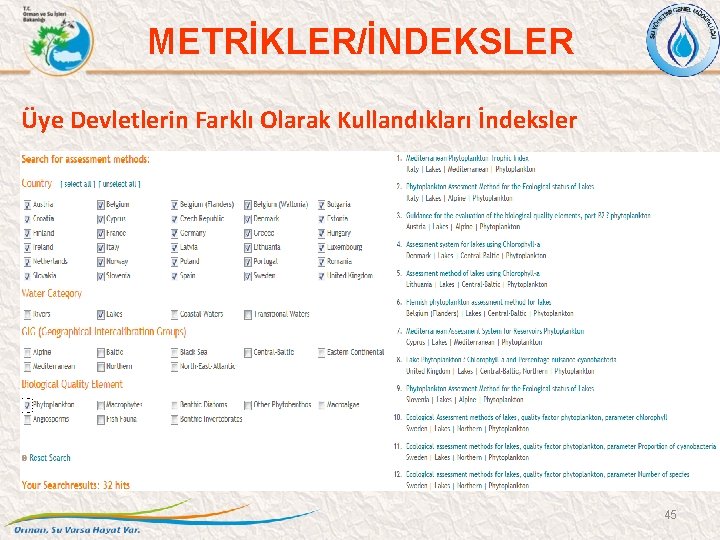 METRİKLER/İNDEKSLER Üye Devletlerin Farklı Olarak Kullandıkları İndeksler 45 