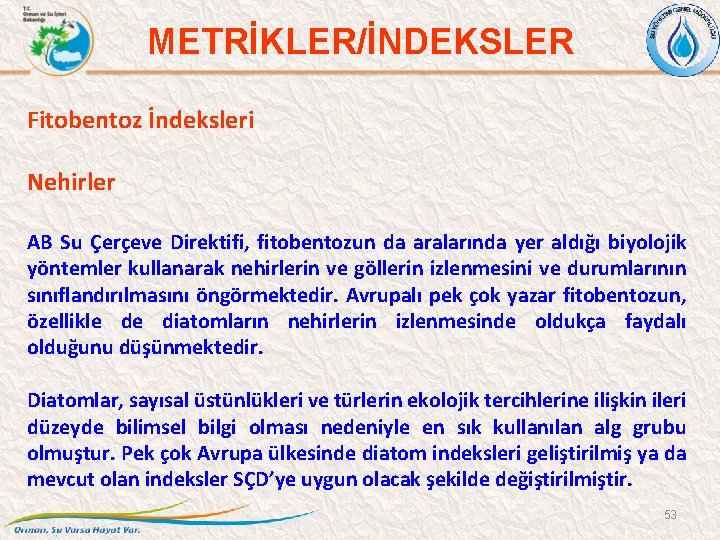 METRİKLER/İNDEKSLER Fitobentoz İndeksleri Nehirler AB Su Çerçeve Direktifi, fitobentozun da aralarında yer aldığı biyolojik