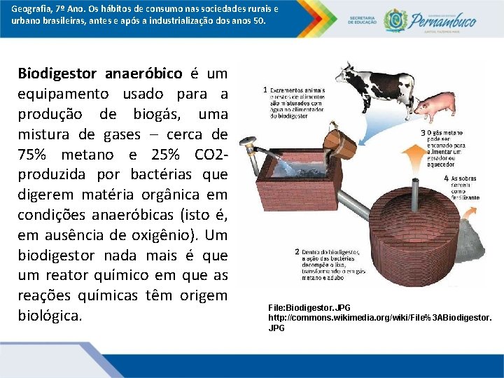 Geografia, 7º Ano. Os hábitos de consumo nas sociedades rurais e urbano brasileiras, antes