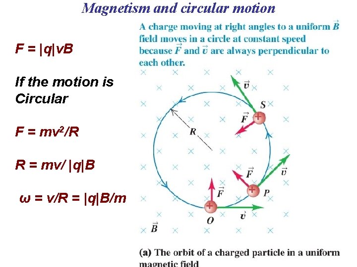 Magnetism and circular motion F = |q|v. B If the motion is Circular F