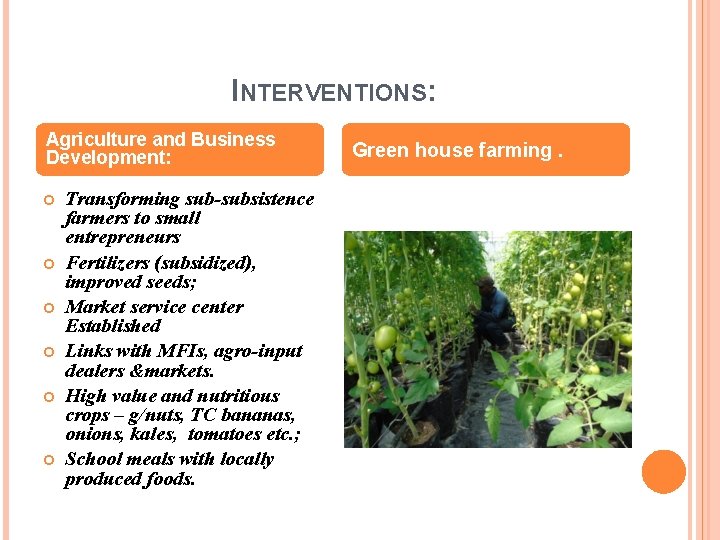 INTERVENTIONS: Agriculture and Business Development: Transforming sub-subsistence farmers to small entrepreneurs Fertilizers (subsidized), improved