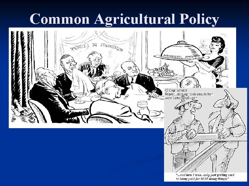 Common Agricultural Policy 