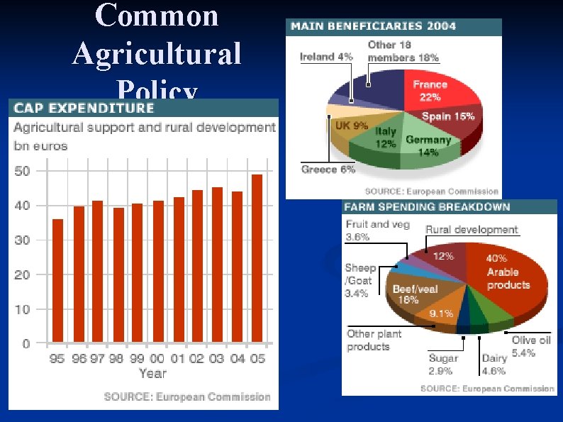 Common Agricultural Policy 