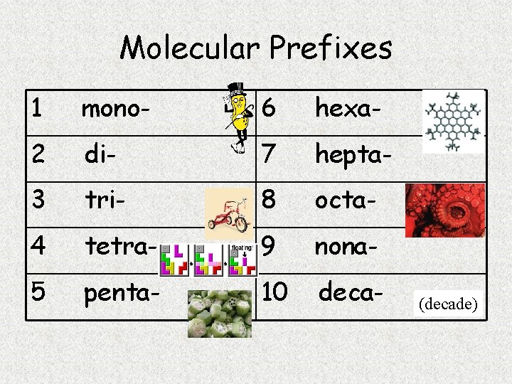 Molecular Prefixes 1 mono- 6 hexa- 2 di- 7 hepta- 3 tri- 8 octa-