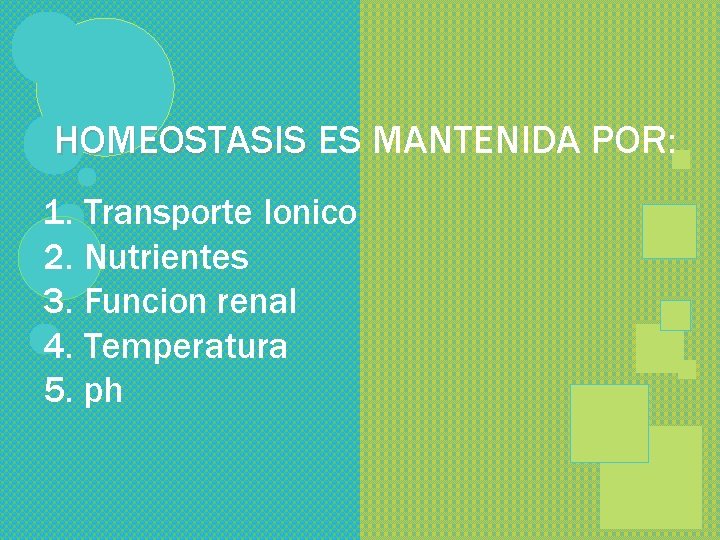 HOMEOSTASIS ES MANTENIDA POR: 1. Transporte Ionico 2. Nutrientes 3. Funcion renal 4. Temperatura