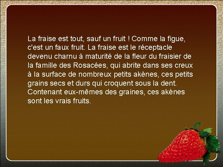 La fraise est tout, sauf un fruit ! Comme la figue, c'est un faux