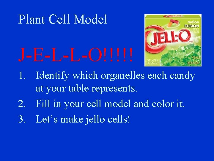 Plant Cell Model J-E-L-L-O!!!!! 1. Identify which organelles each candy at your table represents.