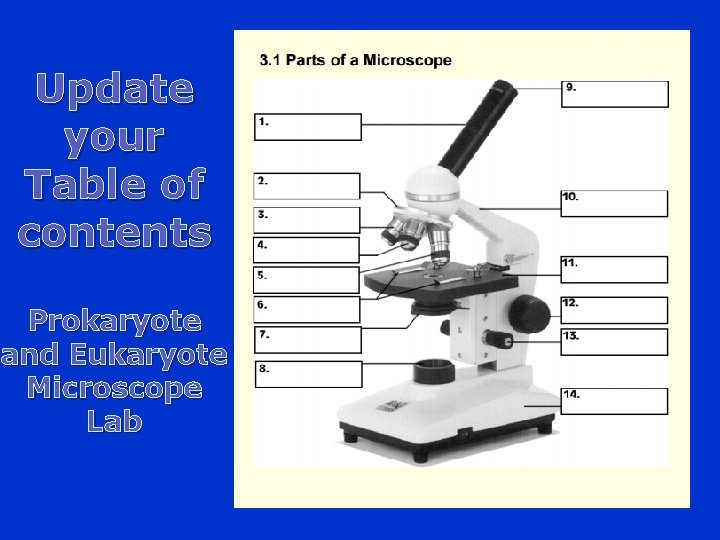 Update your Table of contents Prokaryote and Eukaryote Microscope Lab 