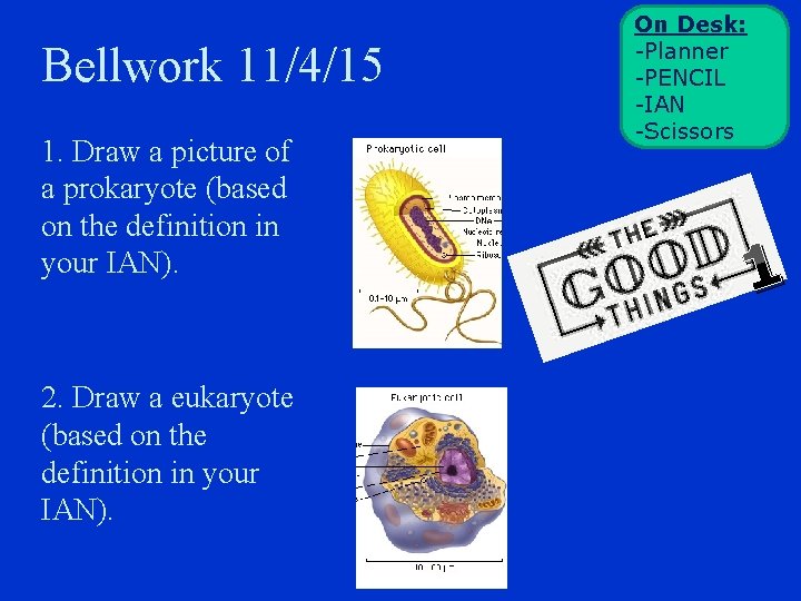 Bellwork 11/4/15 1. Draw a picture of a prokaryote (based on the definition in