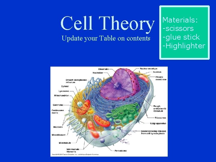 Cell Theory Update your Table on contents Materials: -scissors -glue stick -Highlighter 