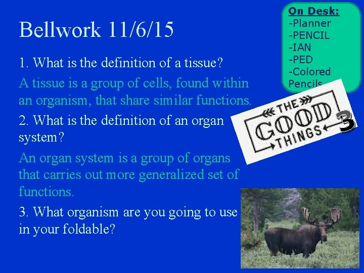 Bellwork 11/6/15 1. What is the definition of a tissue? A tissue is a