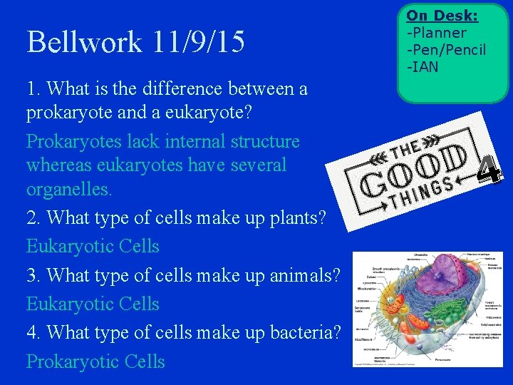 Bellwork 11/9/15 1. What is the difference between a prokaryote and a eukaryote? Prokaryotes