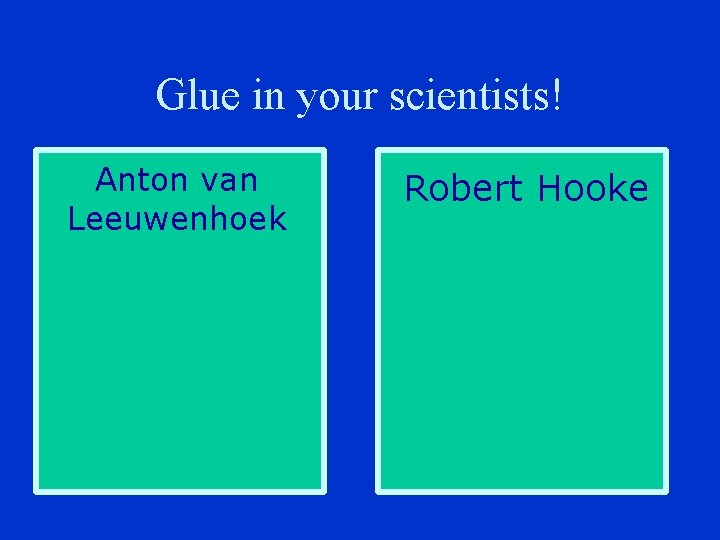 Glue in your scientists! Anton van Leeuwenhoek Robert Hooke 