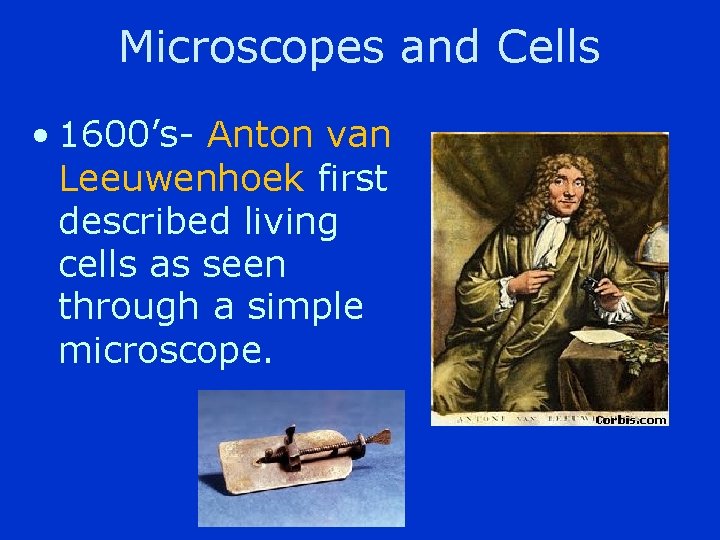 Microscopes and Cells • 1600’s- Anton van Leeuwenhoek first described living cells as seen