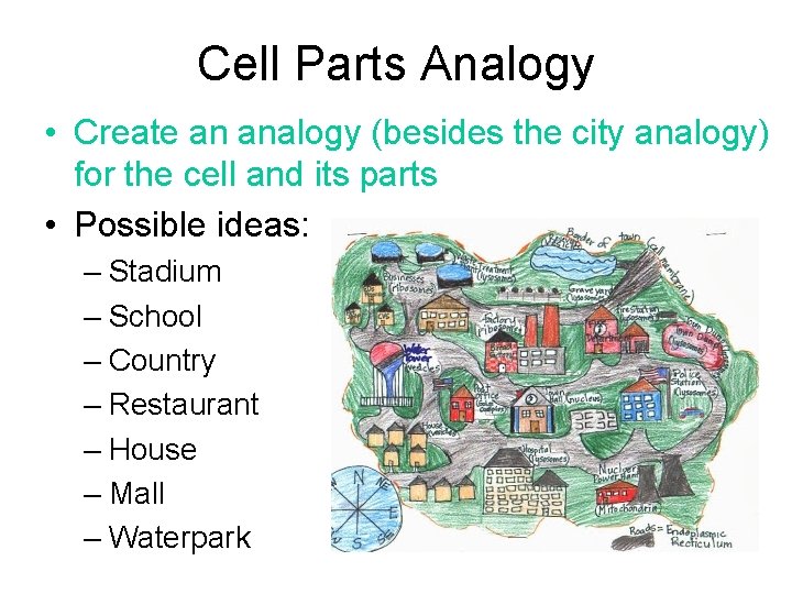 Cell Parts Analogy • Create an analogy (besides the city analogy) for the cell