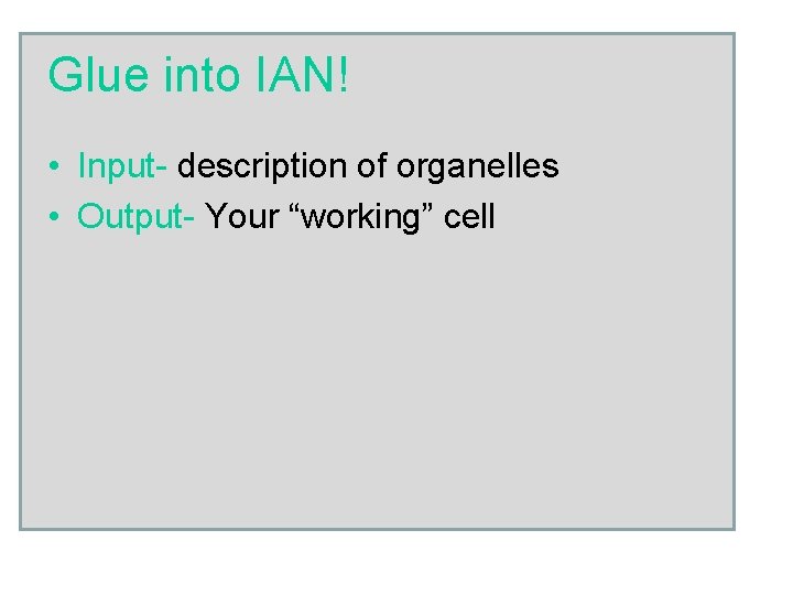Glue into IAN! • Input- description of organelles • Output- Your “working” cell 