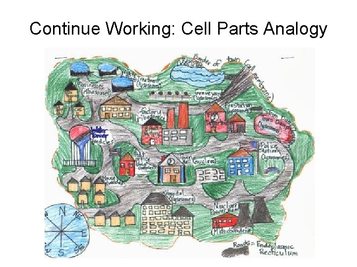 Continue Working: Cell Parts Analogy 