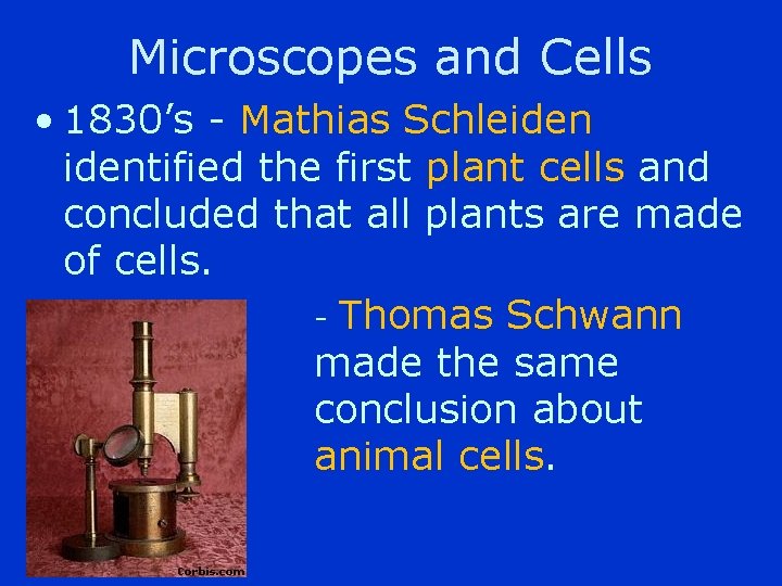 Microscopes and Cells • 1830’s - Mathias Schleidentified the first plant cells and concluded