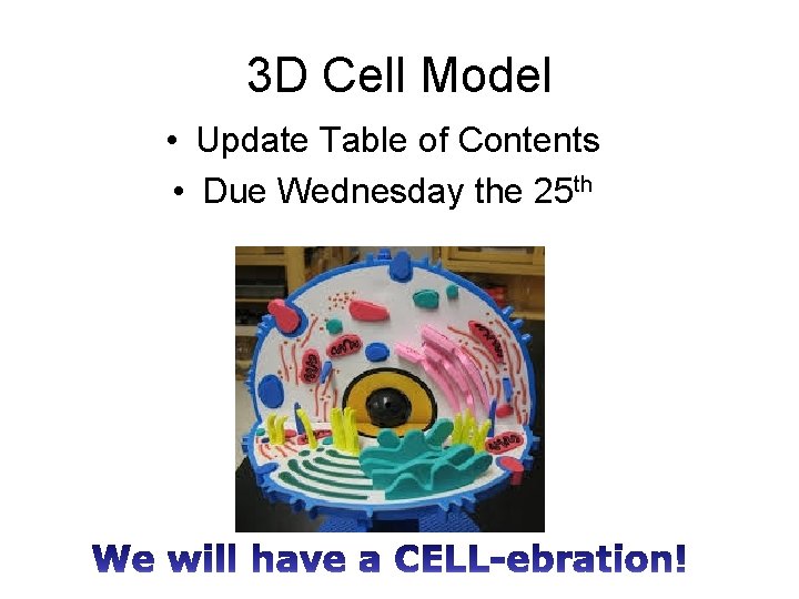 3 D Cell Model • Update Table of Contents • Due Wednesday the 25