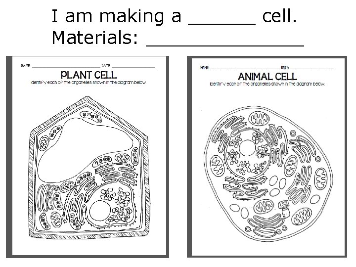 I am making a ______ cell. Materials: _______ 